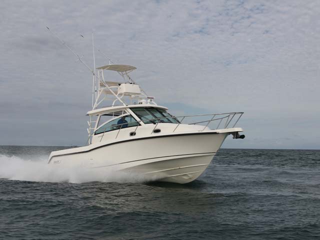 Boston Whaler