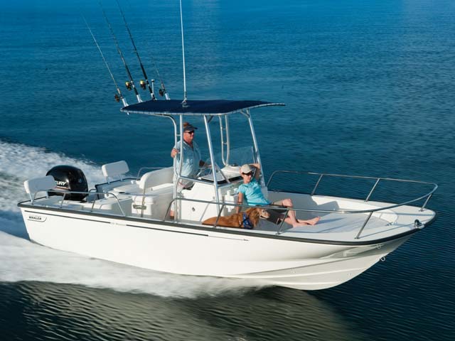 Boston Whaler