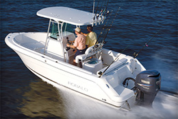 Robalo 220