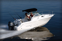 Robalo 225