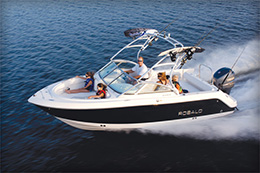 Robalo 227