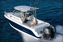 Robalo 245