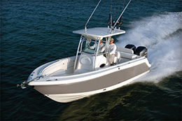 Robalo 260