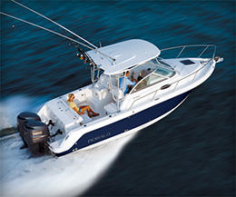 Robalo 265