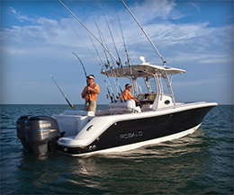 Robalo 300