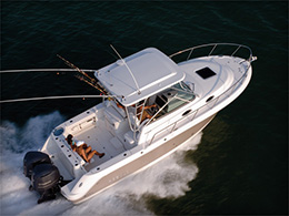 Robalo 305