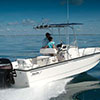 Boston Whaler