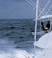 Bertram Sports Fishing Boats