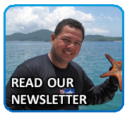 read newsletter evermarine yachts