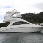 36 Sea Ray Sedan Bridge 2007
