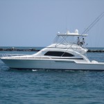 51 Bertram 2008