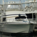 46 Bertram 1995