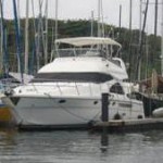 53 Shama (Sold)