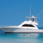 48 Viking 2007