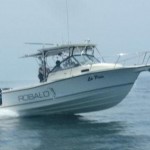 25.4 Robalo