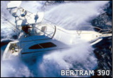 Bertram 390