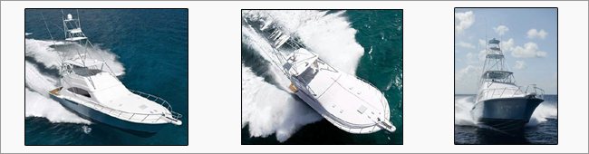 The Bertram Moppie 570